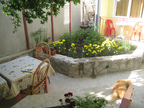 Двор | Людмила, Крым