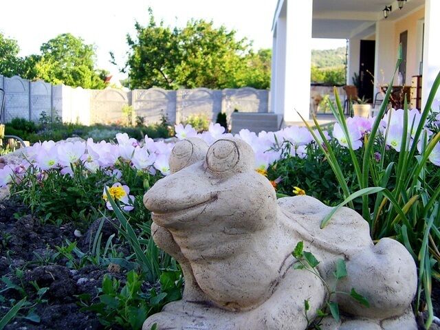 Сад | Астерия, Крым