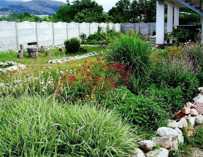 Территория | Астерия, Крым