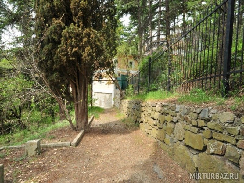 На территории | Хвойный лес, Крым