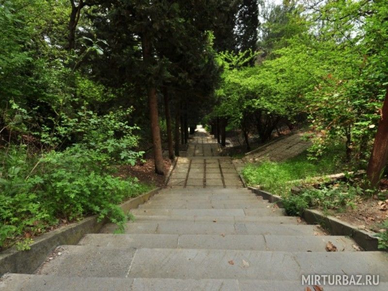 На территории | Хвойный лес, Крым