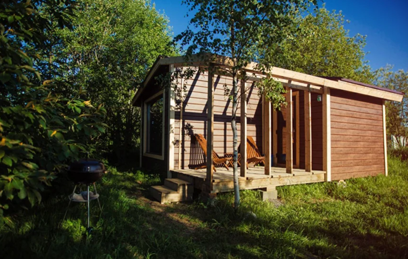 Папоротник, Республика Карелия: фото 5