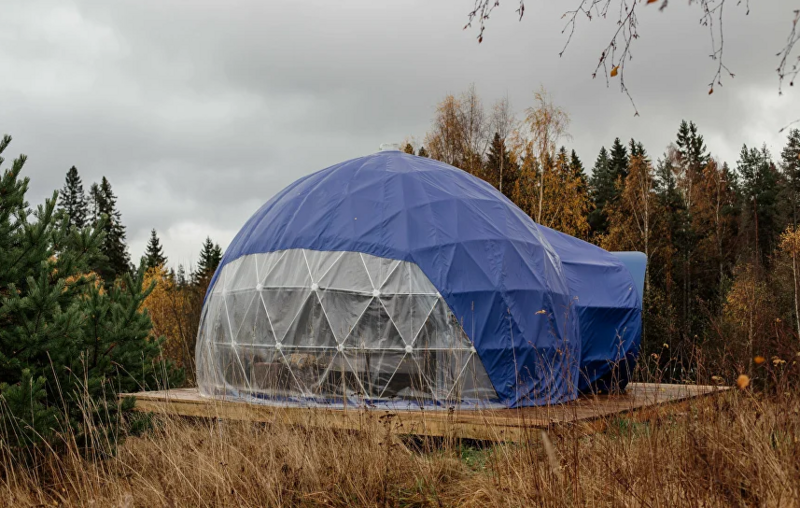 Папоротник, Республика Карелия: фото 3