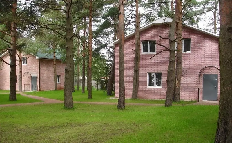 КАРИНА, Ленинградская область: фото 4