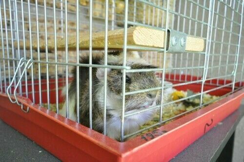 На территории | Казантипская хижина, Крым