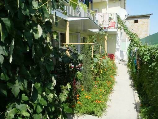 На территории | Мята, Крым