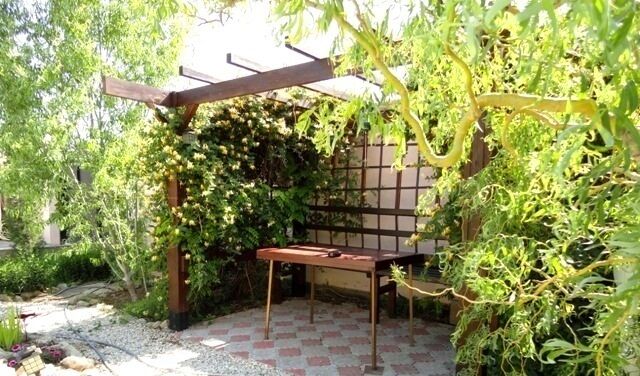 На территории | Жасмин, Крым