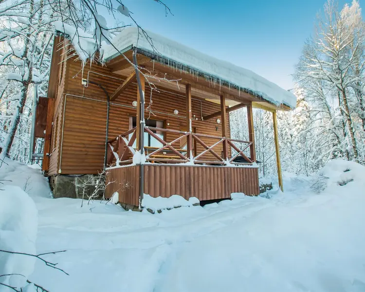 Лесная сказка, Ленинградская область: фото 5