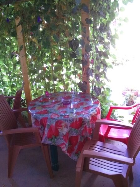 Беседка | Жемчужина Асана, Крым