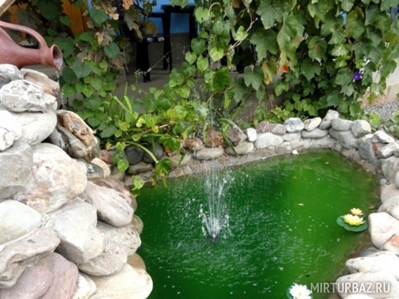 Пруд | Сервер, Крым