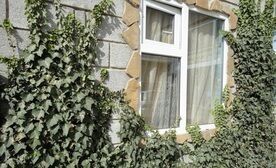 Однокомнатный домик с удобствами, Гостевой дом Сервер, Судак