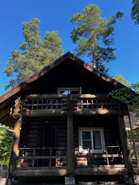 Вырицкие тарханы, Ленинградская область: фото 3