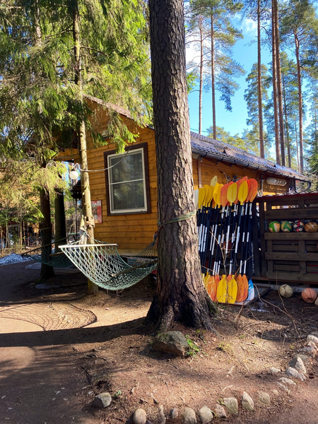 Вырицкие тарханы, Ленинградская область: фото 4