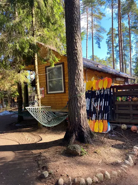 Вырицкие тарханы, Ленинградская область: фото 4