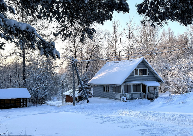 Кот Матроскин, Ленинградская область: фото 4