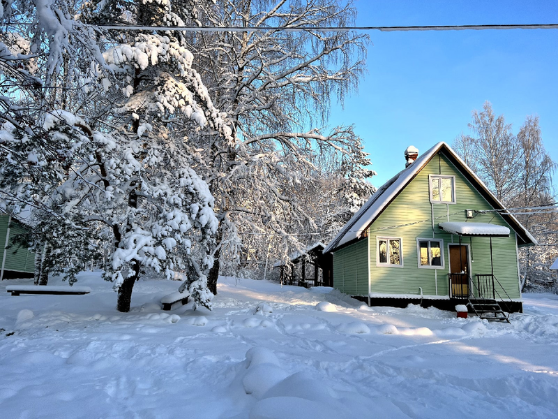 Кот Матроскин, Ленинградская область: фото 2