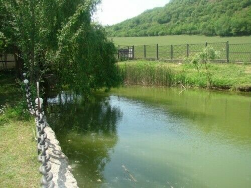 Озеро | Солнечноселье, Крым