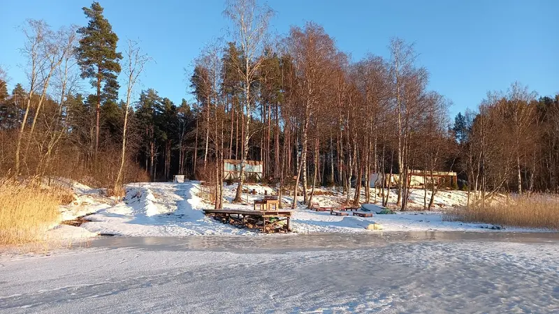 Исток, Ленинградская область: фото 5