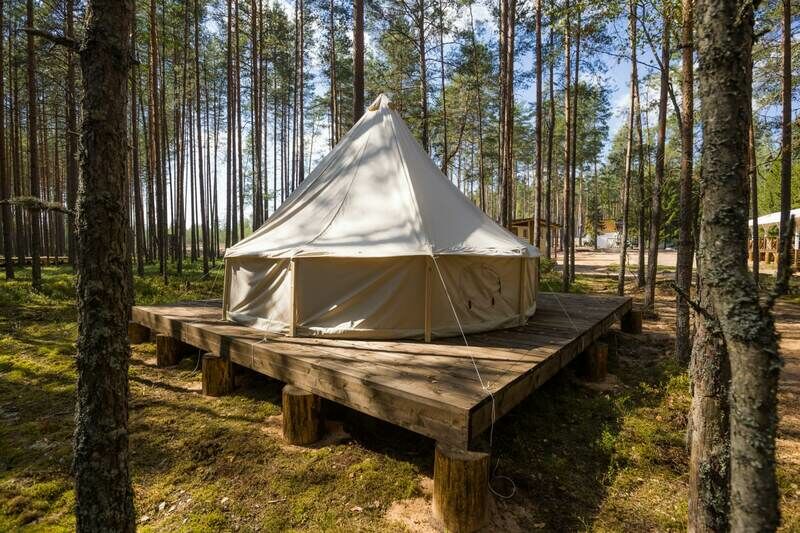 Экопарк Большая Рыба, Псковская область: фото 3