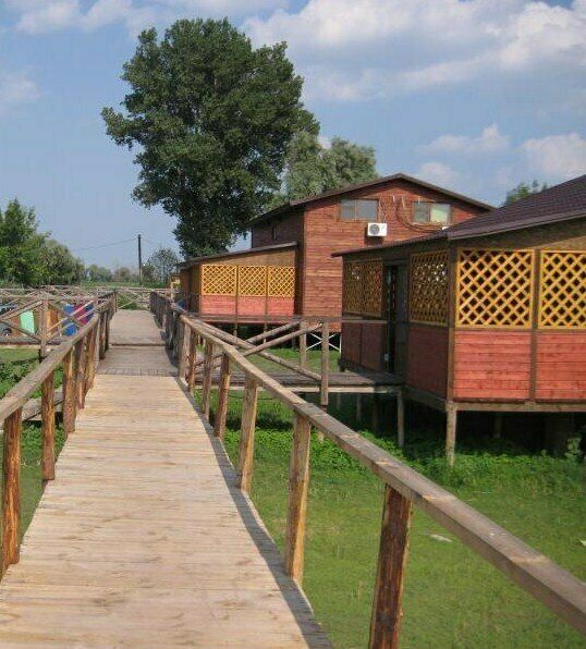 Олигри Фиш, Астраханская область: фото 4