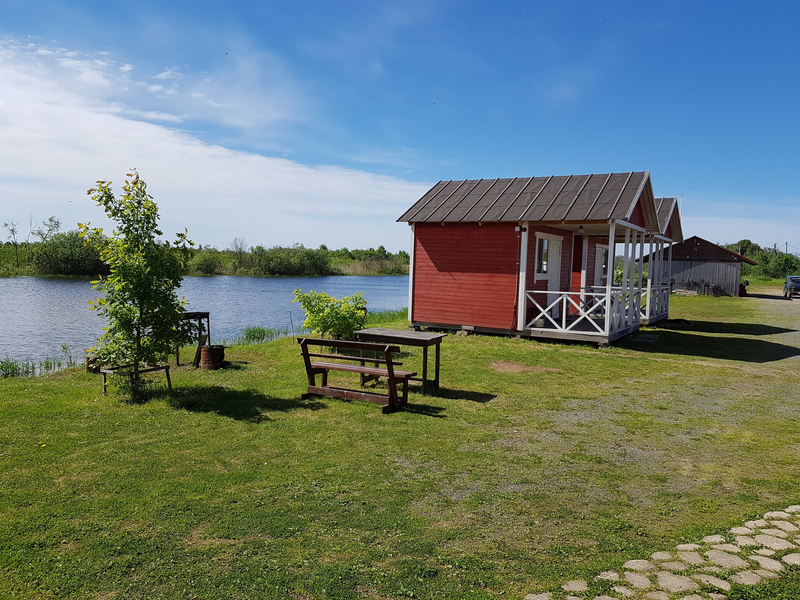 Берег удачи, Ленинградская область: фото 5