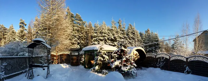 Викинг, Ленинградская область: фото 5