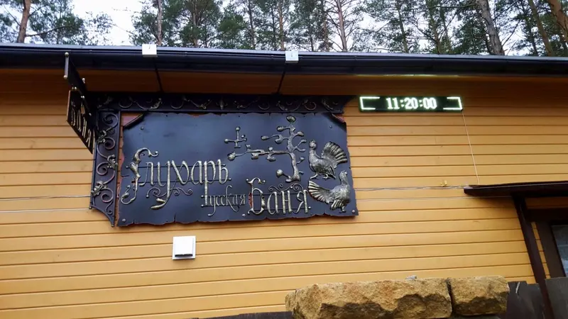 Глухарь, Ленинградская область: фото 4