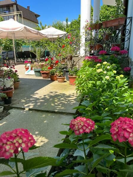 Территория гостевого дома | Angel, Краснодарский край