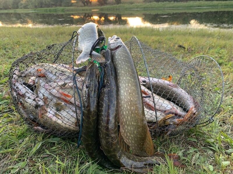 Трофейный дом, Астраханская область: фото 5