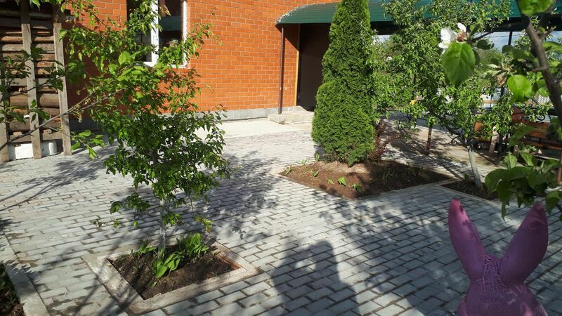 Дистанция, Московская область: фото 4