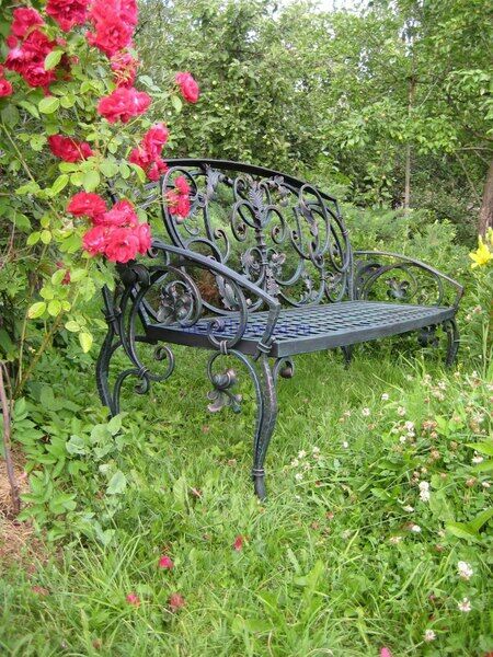 Дистанция, Московская область: фото 5