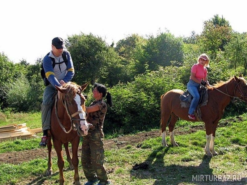 Конные прогулки