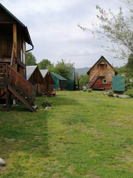 Три клена, Алтайский край: фото 3