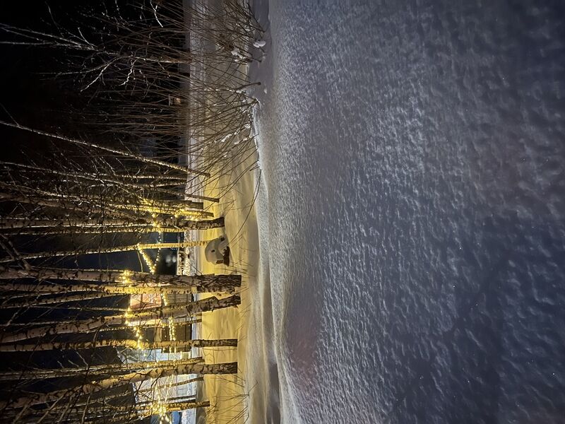 Фото 6 из отзыва о глэмпинге Четыре сезона
