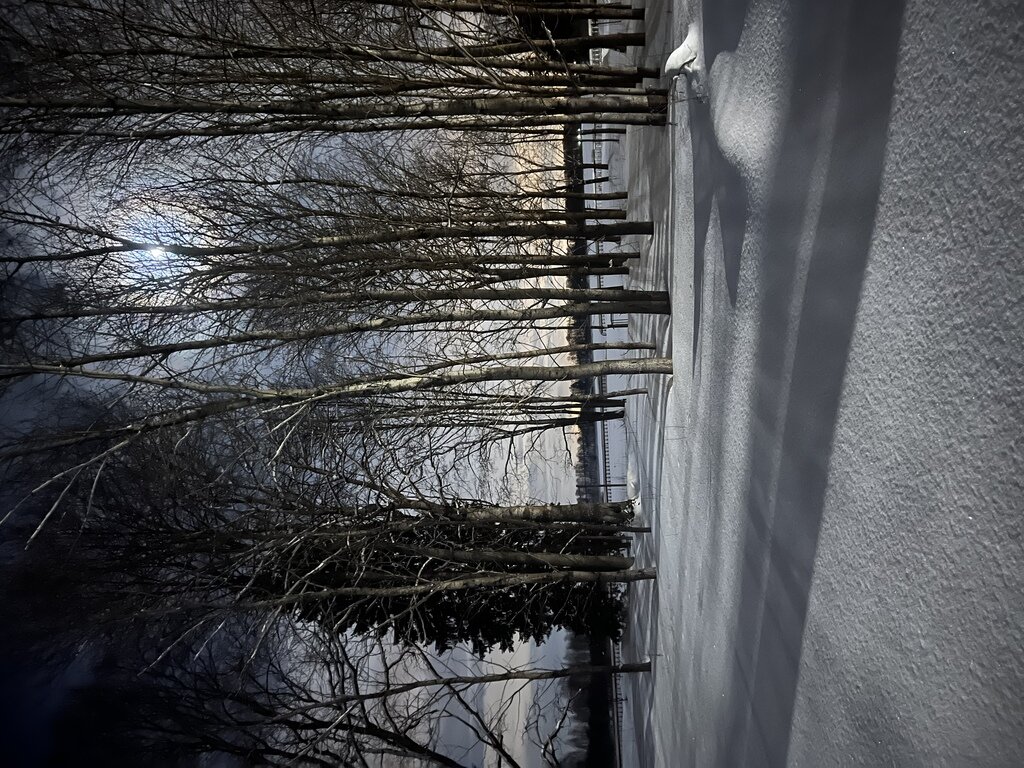 Фото из отзыва от 06.03.2023