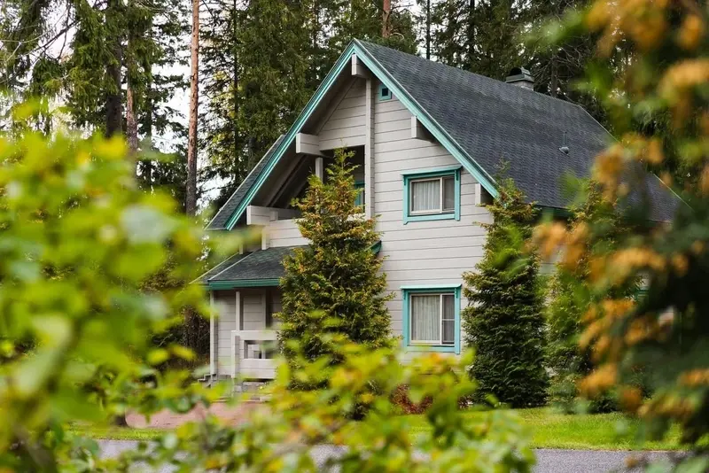 Игора, Ленинградская область: фото 4