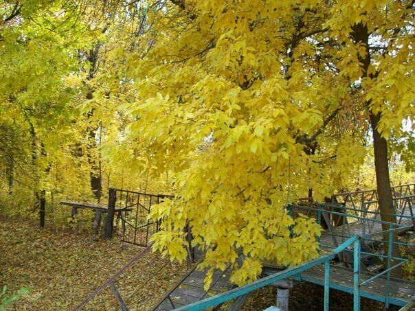 База отдыха «Рыбак» | Рыбак, Астраханская область