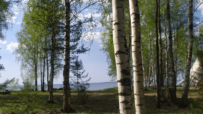 Берег Грифона, Нижегородская область: фото 5